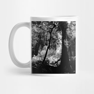 Hillside Trail, Muir Woods National Monument Mug